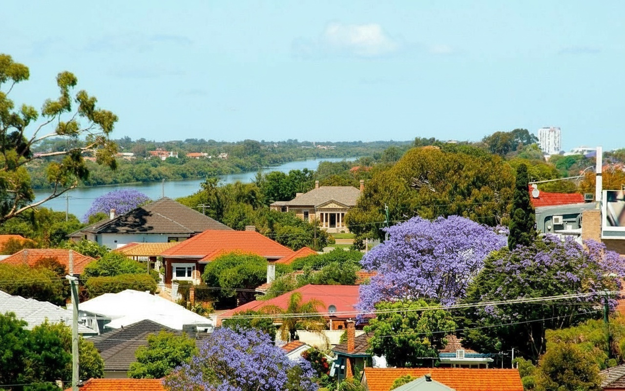 집주인, 자택의 귀중한 나무를 무단으로 베어내어 법정에 서다